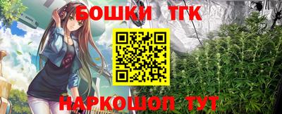 гидра Ставрополь